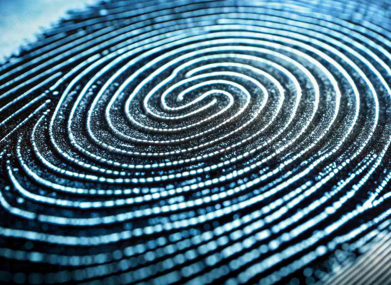 fingerprint
